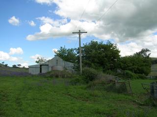 Shearing Shed