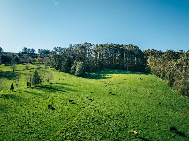 Lot 2/265 Wildes Meadow  Road, NSW 2577