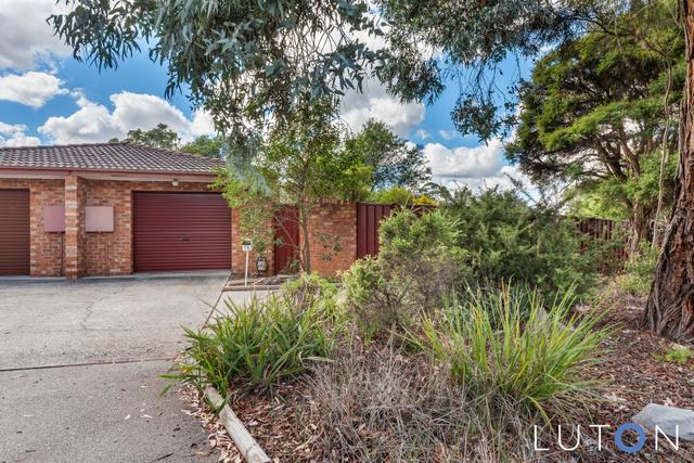 26 Fred Williams Crescent, ACT 2602