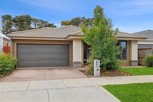 18 Element Circuit, VIC 3217