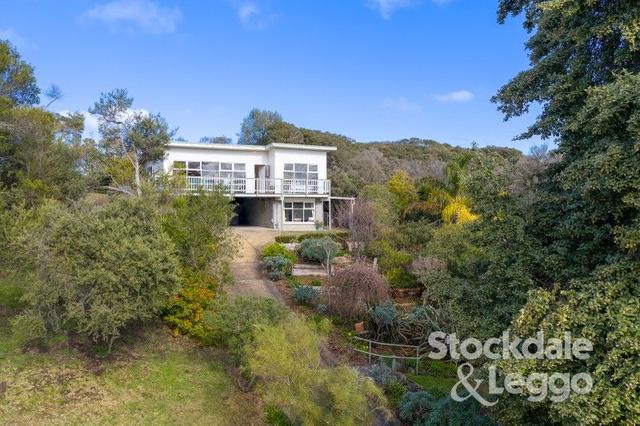 51 Guest Street, VIC 3941