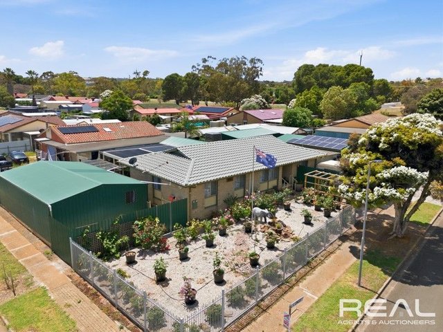 1 Linger Crescent, SA 5113