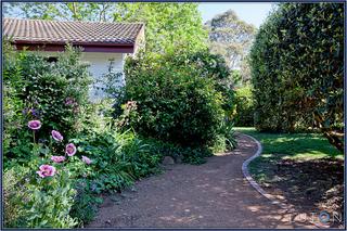 Front Path to Home