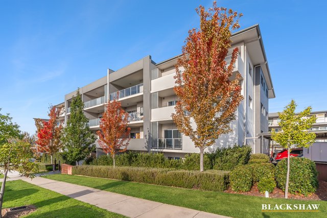 265/36 Phillip Hodgins Street, ACT 2611