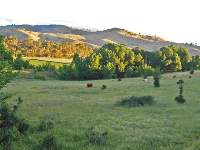 30 Hanley & Moon Street, NSW 2722