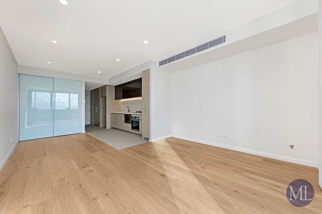 515/29 Ashford Avenue, NSW 2154