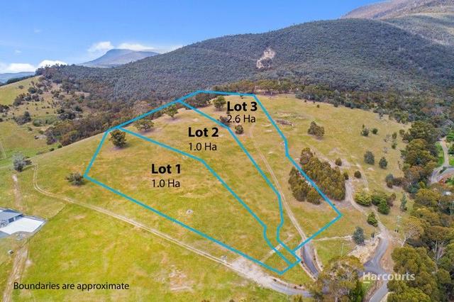 Lot 1, 2 & 3/195 Black Snake Road, TAS 7030