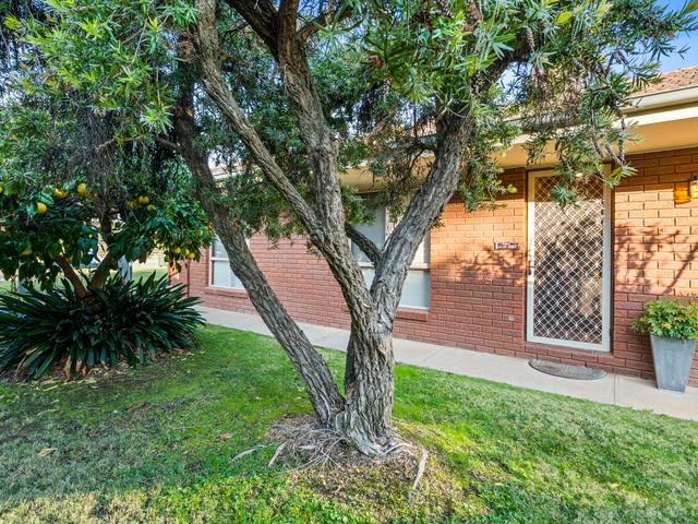 5/25 Calaway Street, NSW 2714