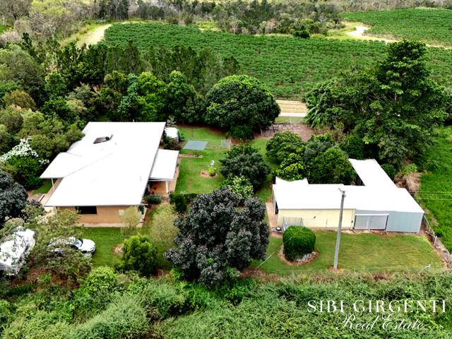 599 Springs Road, QLD 4880