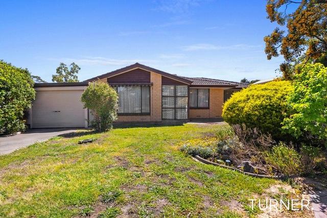 14 Dillon Street, SA 5097