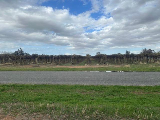 Lot 24 Tarcoola Street, SA 5341
