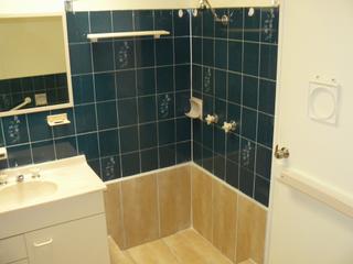 Bathroom (2010-02-25)
