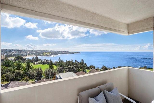 10/247 Oberon Street, NSW 2034
