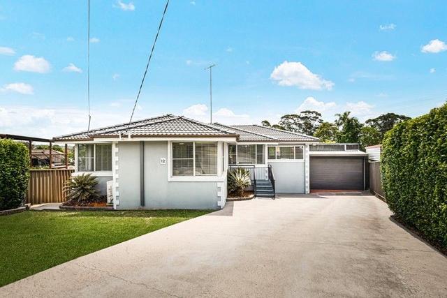 12 Mountford Avenue, NSW 2145