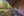80 Lizray Road, Federal NSW 2480, Federal - Thumbnail 8