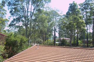 View (2009-12-29)