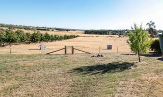 View from Verandah