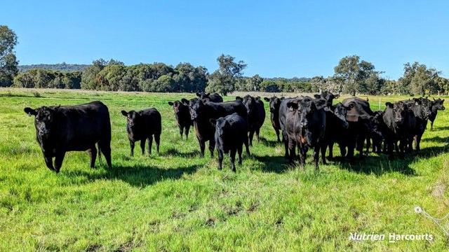 1298 Brand Highway, WA 6084