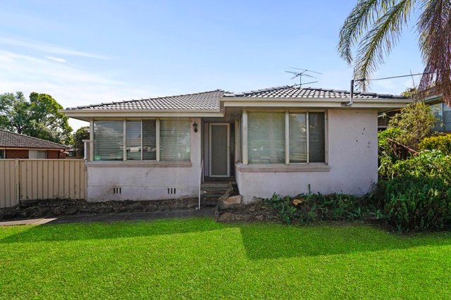 53 Queen Street, NSW 2567