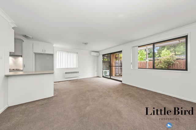 41/35 Tay Street, ACT 2602