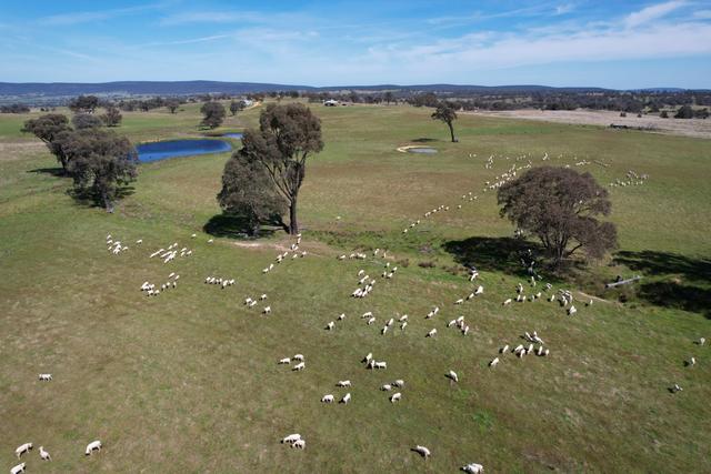 424 Trebane Road, NSW 2803
