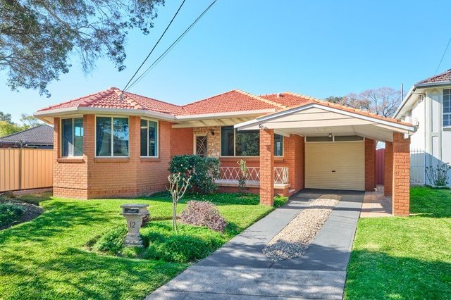 12 Larkview Avenue, NSW 2162