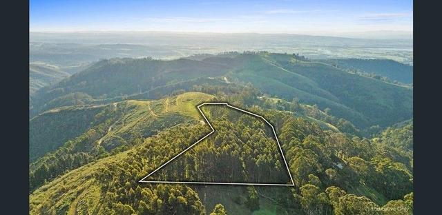 64 Oreillys Hill Road, VIC 3869
