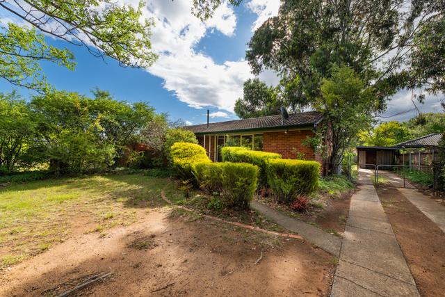 237 Antill Street, ACT 2602