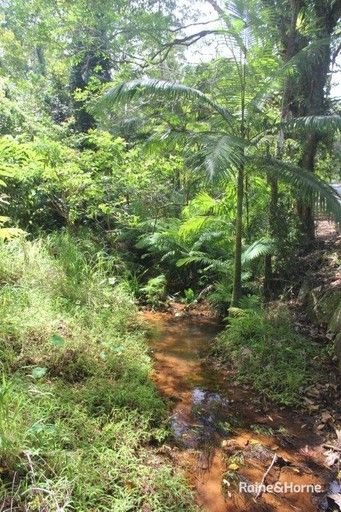 Lot 1 Cape Tribulation Road, Diwan, QLD 4873