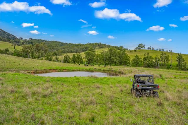 Carrowbrook Road Mount Olive, NSW 2330