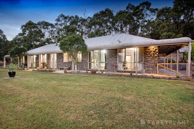 435 Tschampions Road, VIC 3782