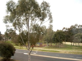 View of Street
