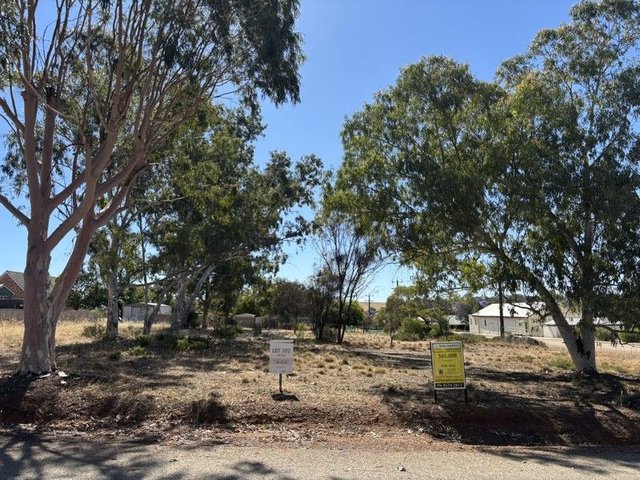 41 Smith St, WA 6568