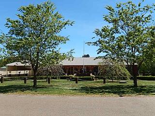 Frontyard (2018-11-05)