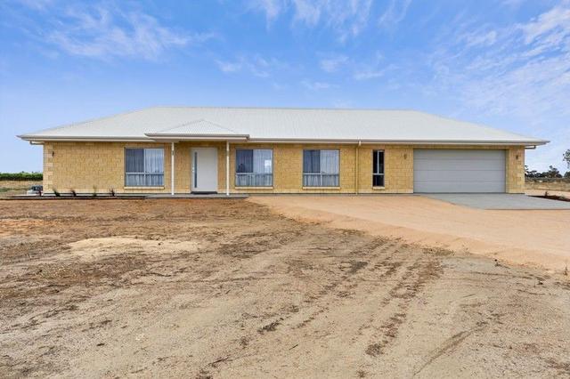 74 Nelbuck Street, SA 5341