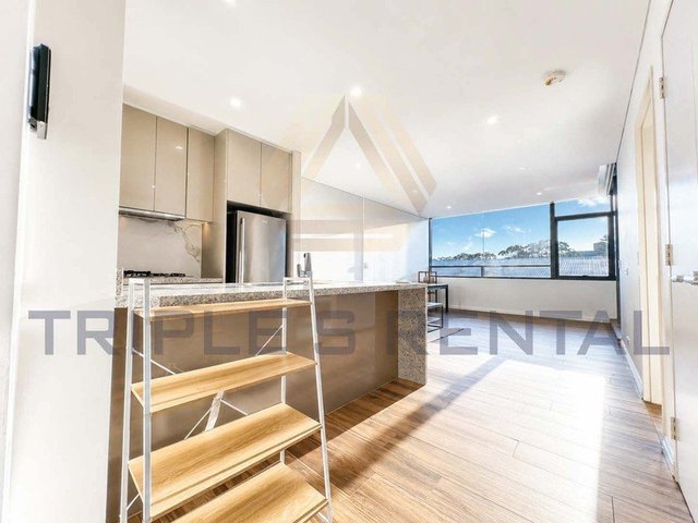 229/9 Rose Valley Way, NSW 2017