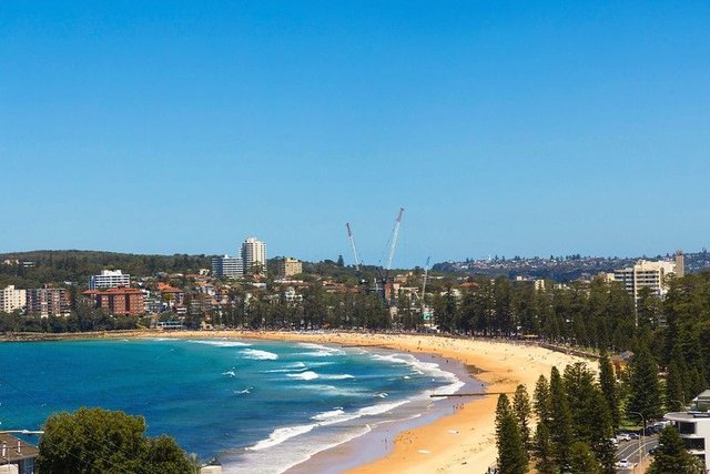 3/47 Pavilion Street, NSW 2096