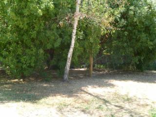 Backyard (2014-02-03)