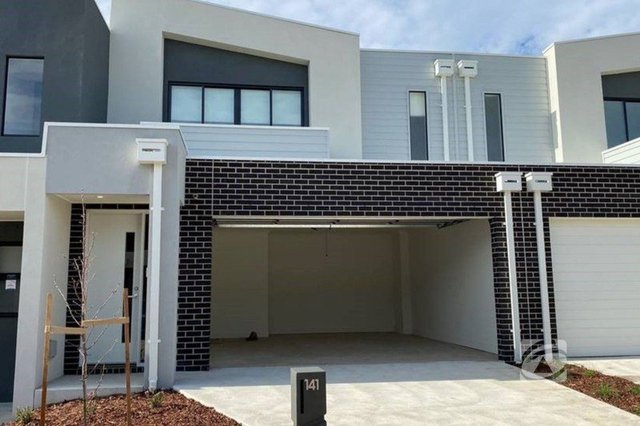 141 Willow Glen Boulevard, VIC 3977