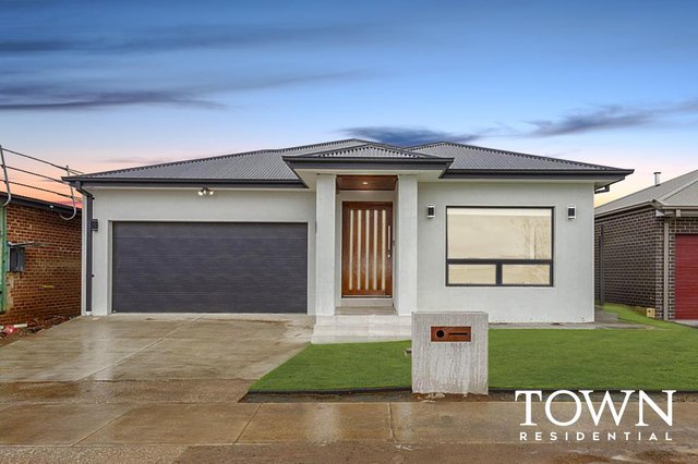 9 Mees Street, ACT 2913