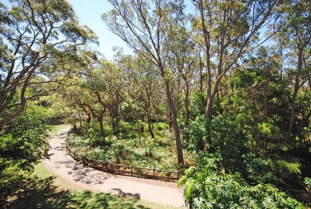 8/26 Richmond  Avenue, NSW 2099