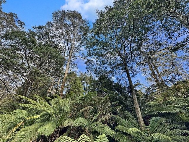 PID 6805846 Anchor Road, TAS 7216