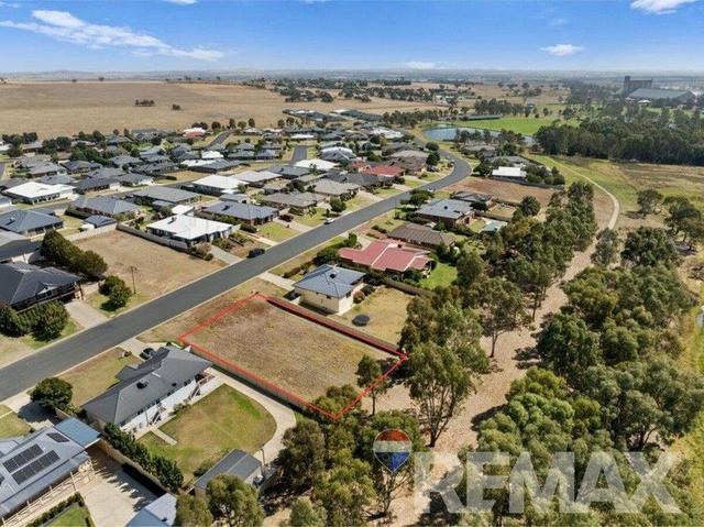 39 Johns Potts Drive, NSW 2663