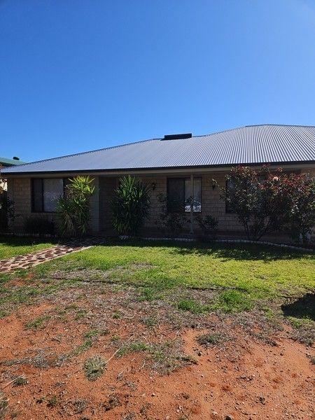 29 Tiliqua Crescent, SA 5725