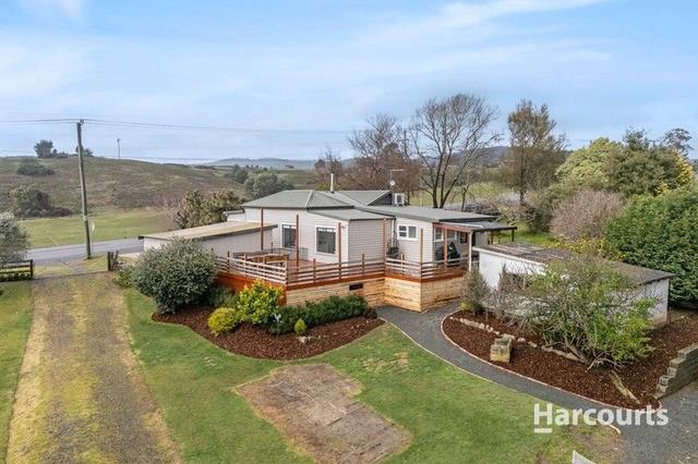 50 Ringarooma Road, TAS 7260