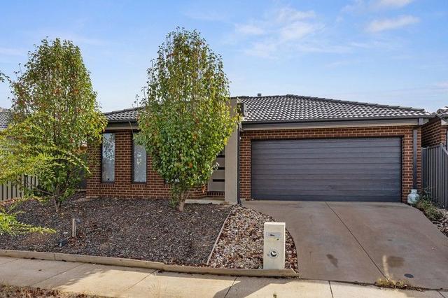 53 Daisy St, VIC 3551