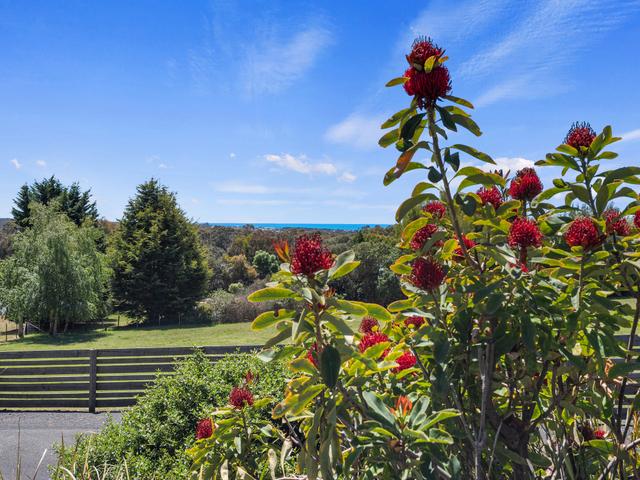 61 Gumbowie Dr, TAS 7307