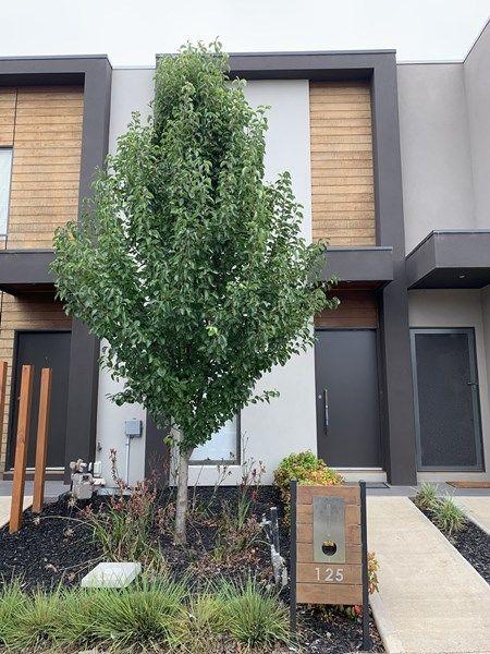125 Waterhaven Boulevard, VIC 3030