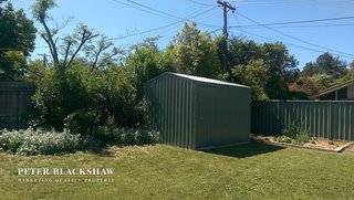 Back Yard and Shed