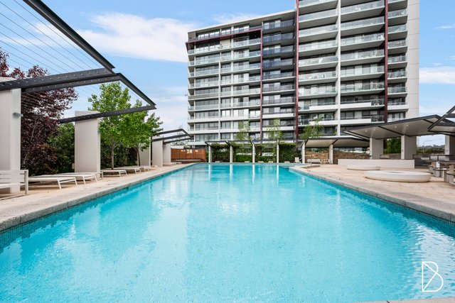 141/7 Irving Street, ACT 2606